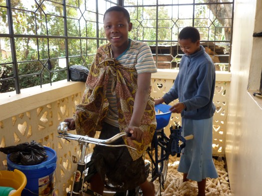 Cycle mounted maize sheller.