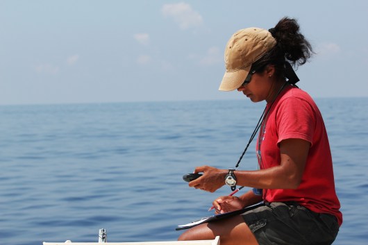 Asha de Vos taking GPS coordinates of a blue whale sighting. 