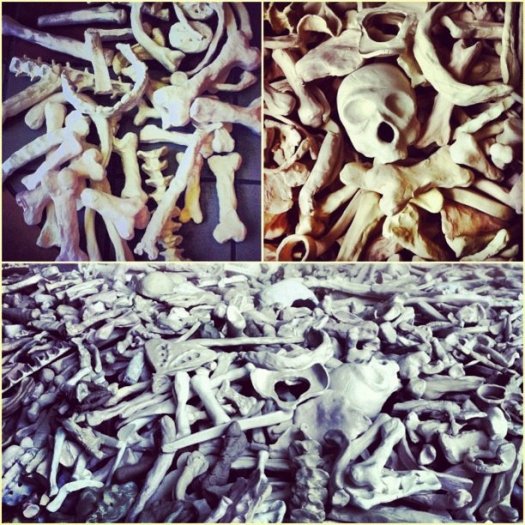 Bones made in Tallahassee, Florida. Photo: Jane McPherson