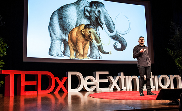 Hendrick Poinar shares how his team is sequencing the woolly mammoth genome. Photo: courtesy of TEDxDeExtinction