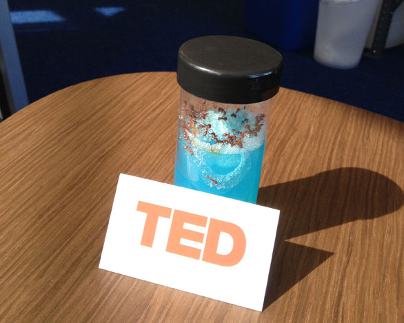 TED-ants