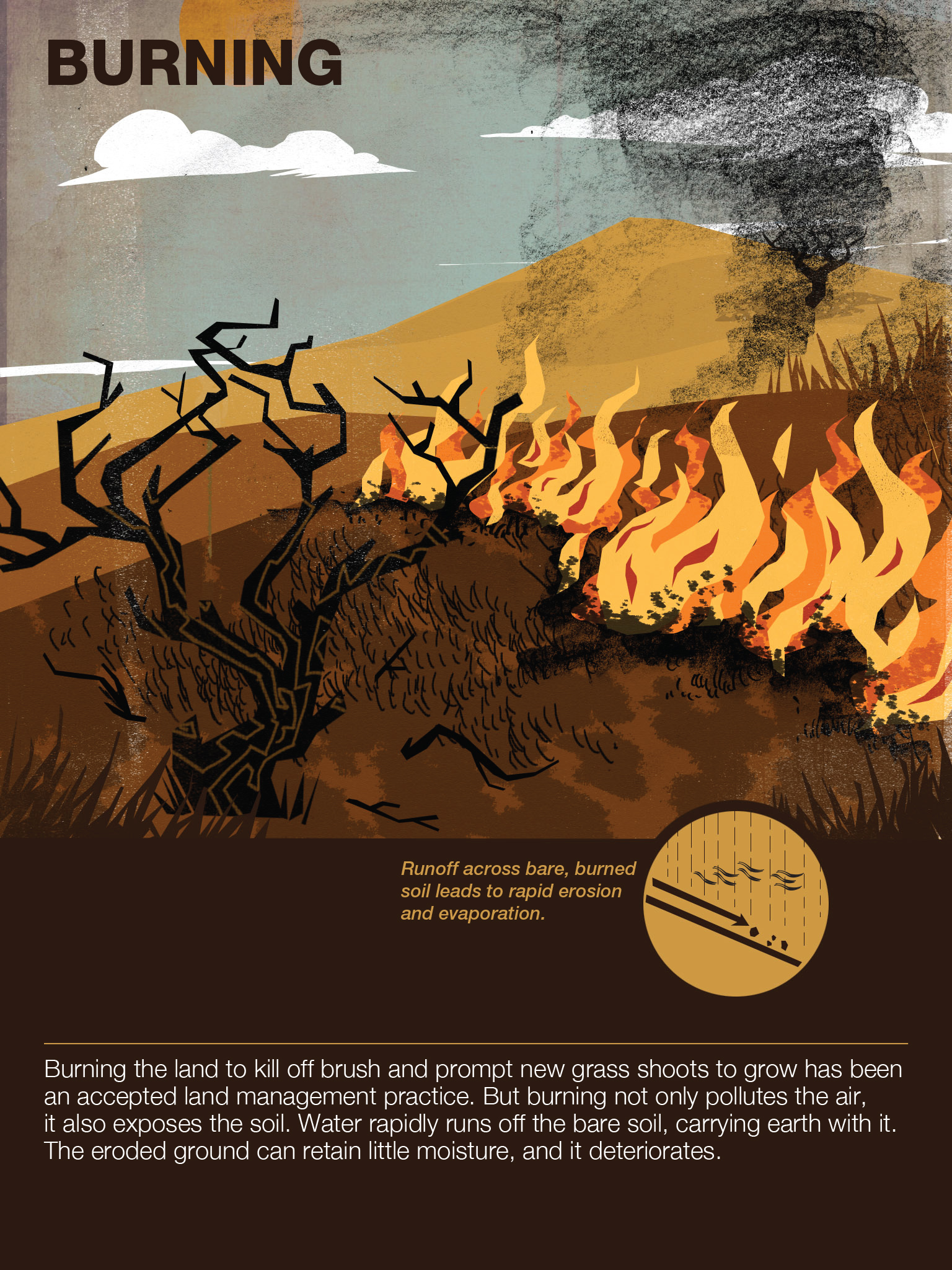 Burning. A widely-accepted land management strategy, this graphic hints why it may not be so good after all.
