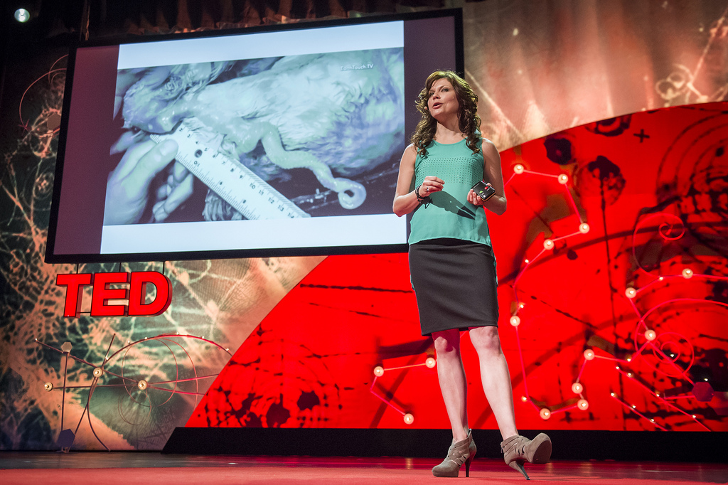 Carin Bondar expounds on the very unusual duck penis at TED2013. This biologist studies sex in the animal kingdom. Photo: James Duncan Davidson