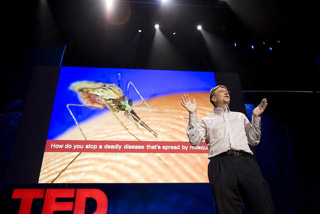 Bill Gates once released mosquitos into the TED theater to make a point about malaria research. Now, he's started Mosquito Week. Photo: James Duncan Davidson