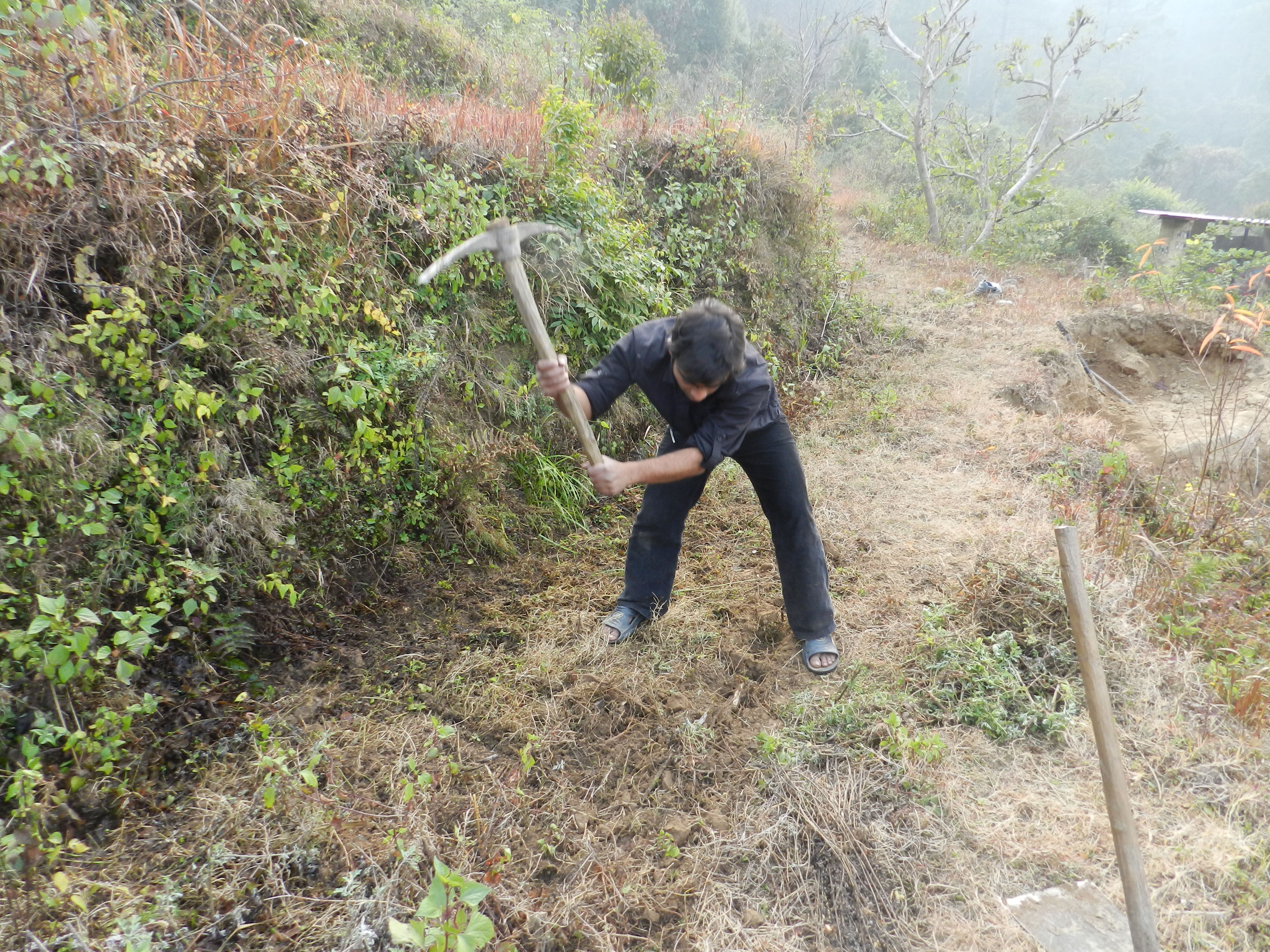 Sharma breaking ground in preparation to plant a new forest. Photo: Afforestt