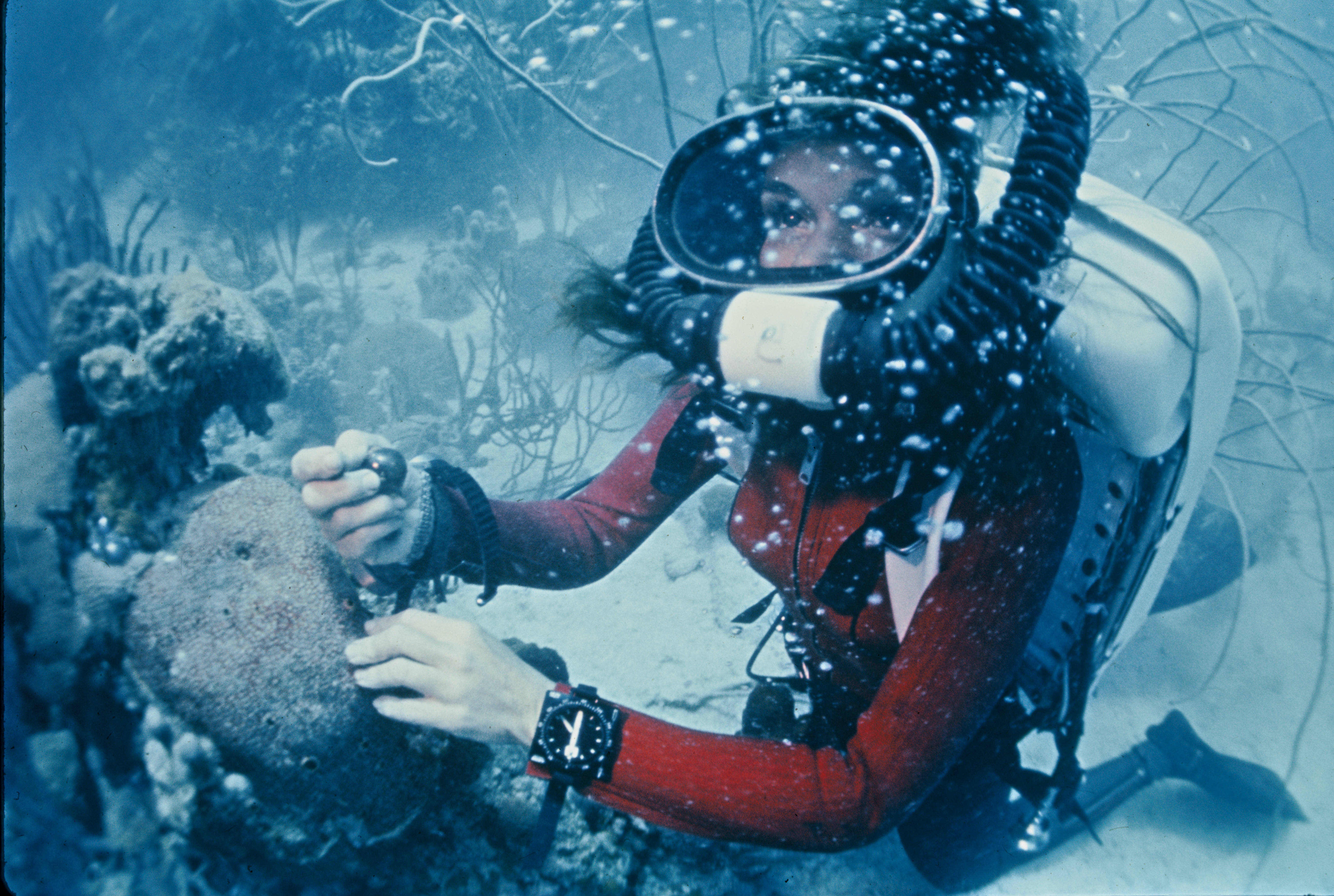 Sylvia Earle where she's most at home, underwater. Photo: Mission Blue