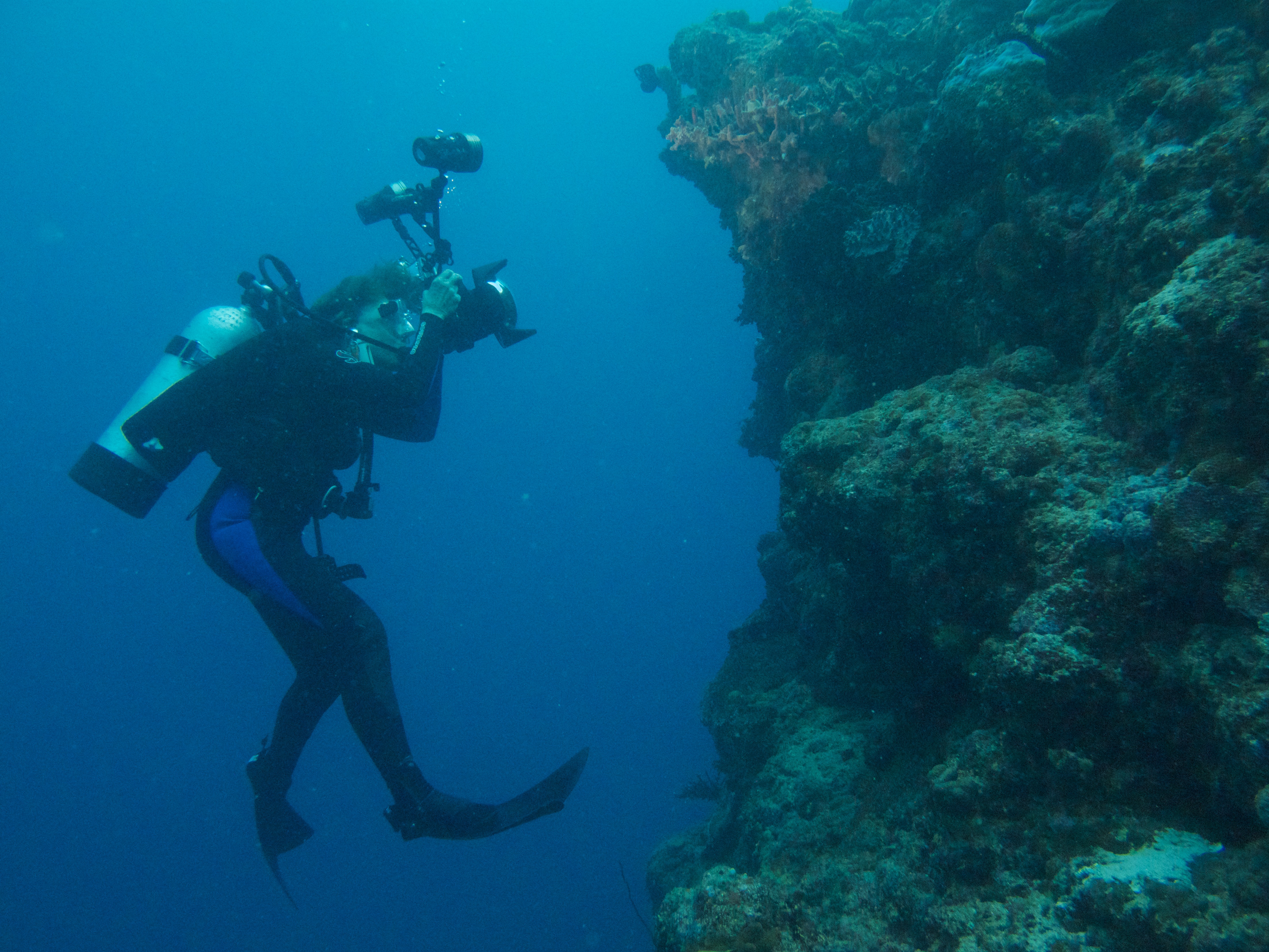 The new documentary Mission Blue, charts the life of oceanographer Sylvia Earle. Director Fisher Stevens set out to make a film about her work, and ended up being fascinated by the person. Photo: Mission Blue