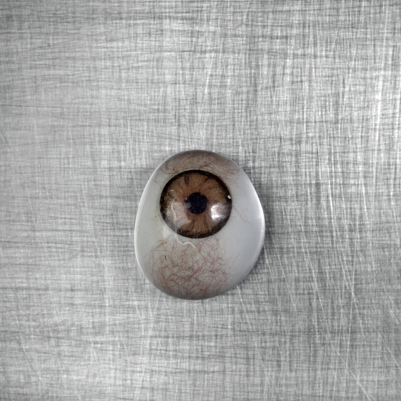 Glass eye, from Quest for Identity. Photo: Ziyah Gafić