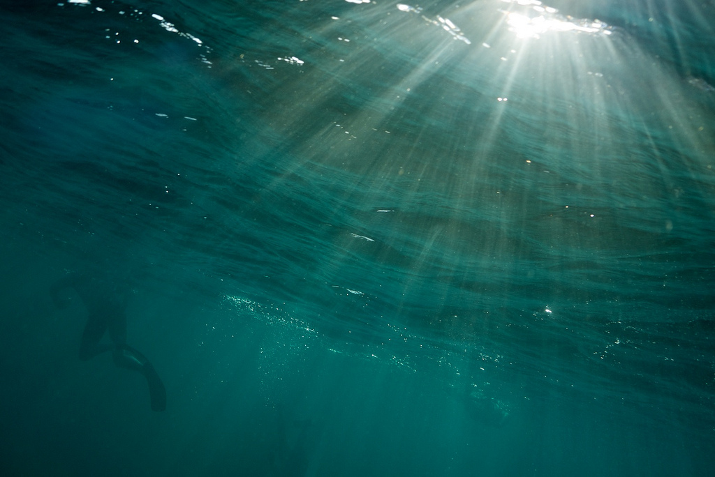 Rays of hope captured underwater during the Mission Blue Voyage in the Galapagos. Photo: James Duncan Davidson/TED