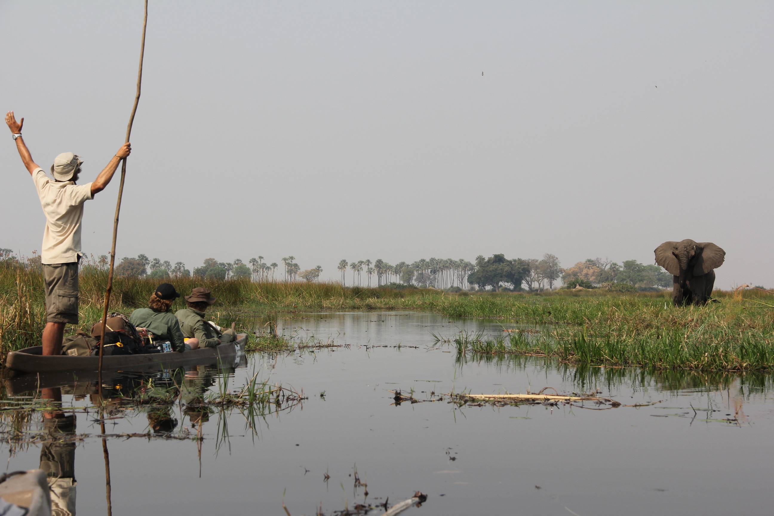 Boyes greeting an elephant while crossing the Okavango Delta. Image courtesy Steve Boyes.