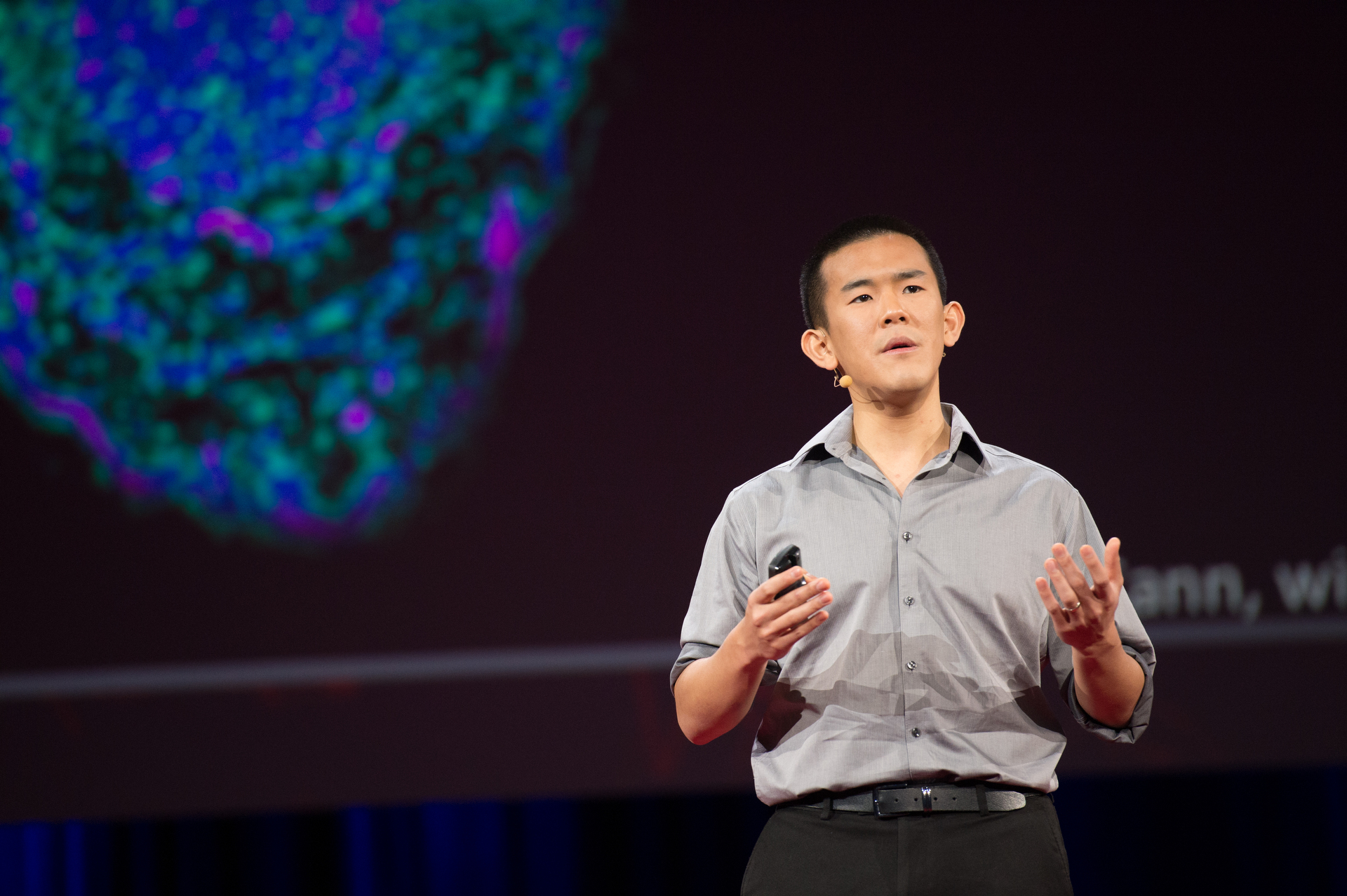 How parasites turn our thinking sideways: Ed Yong at TED2014 | TED Blog