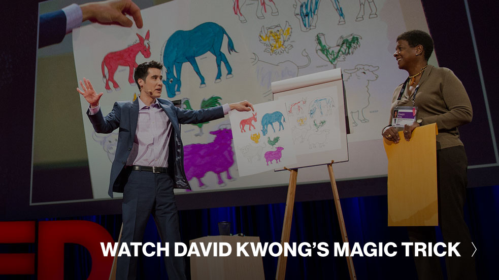David-Kwong-TED-Talk