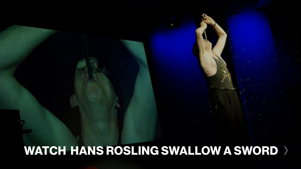 Hans-Rosling-TED-Talk