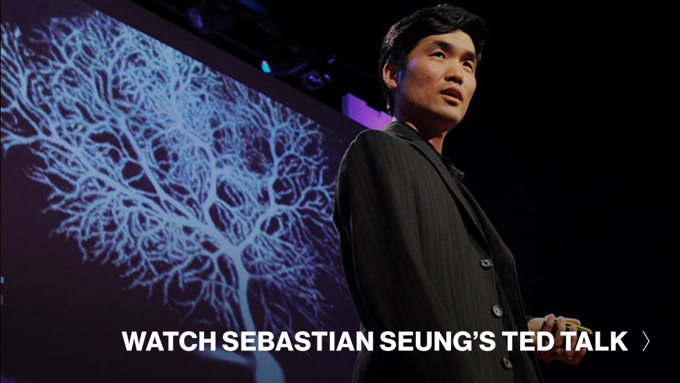 Sebsatian-Seung-watch-TED-Talk