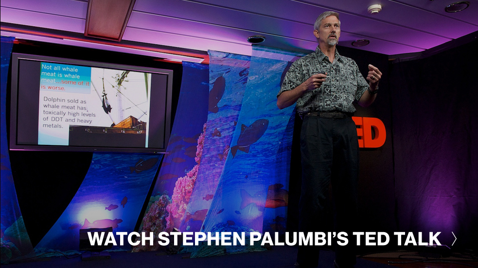 Stephen-Palumbi-TED-Talk-CTA