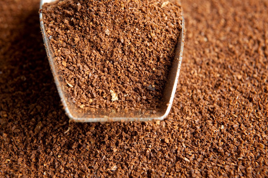 At TED2015, attendees will get to sample TK and brownies made of coffee flour, an environmentally friendly ingredient. Photo: Courtesy of Coffee Flour
