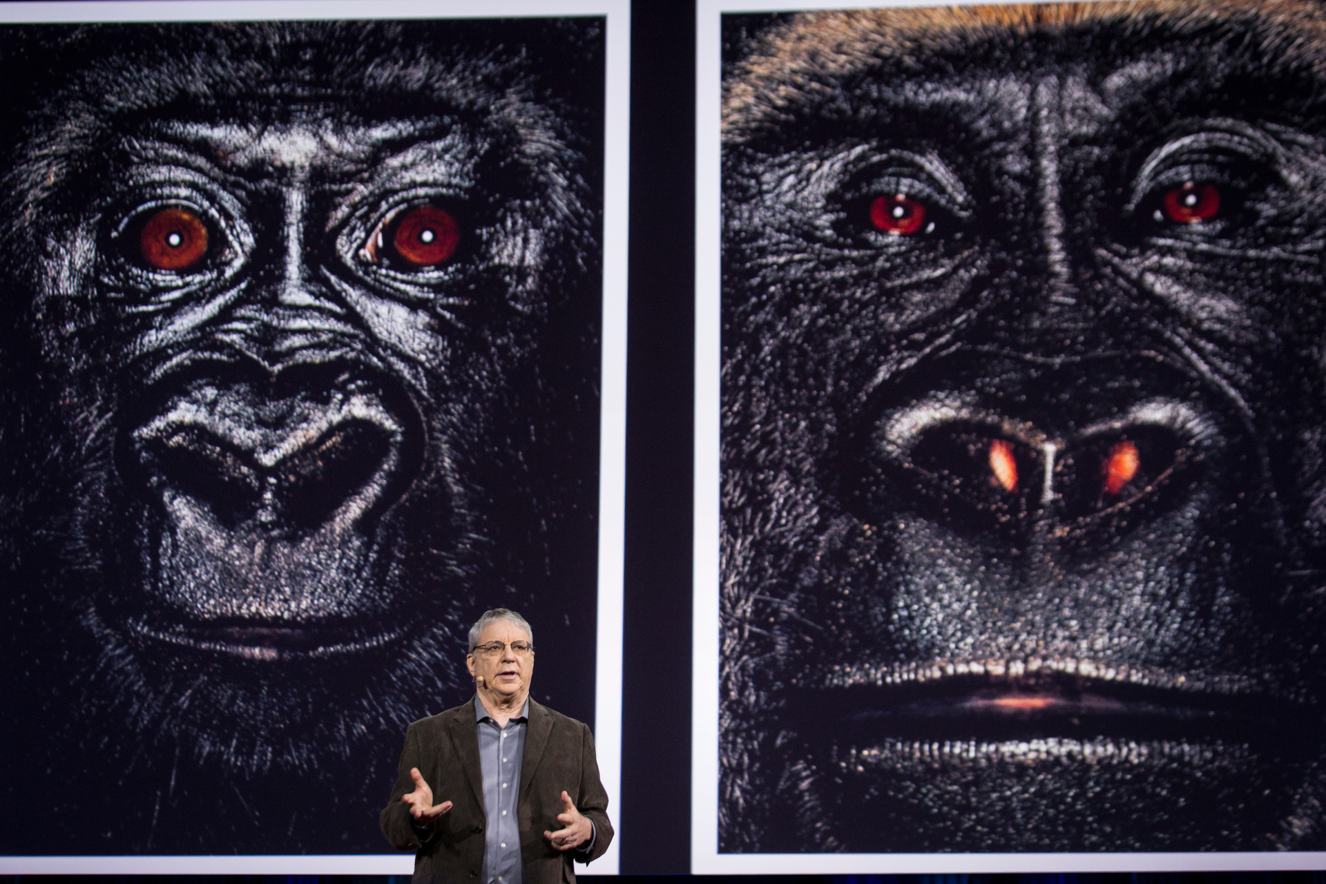 Steven Wise speaks at TED2015 - Truth and Dare, Session 6. Photo: Bret Hartman/TED