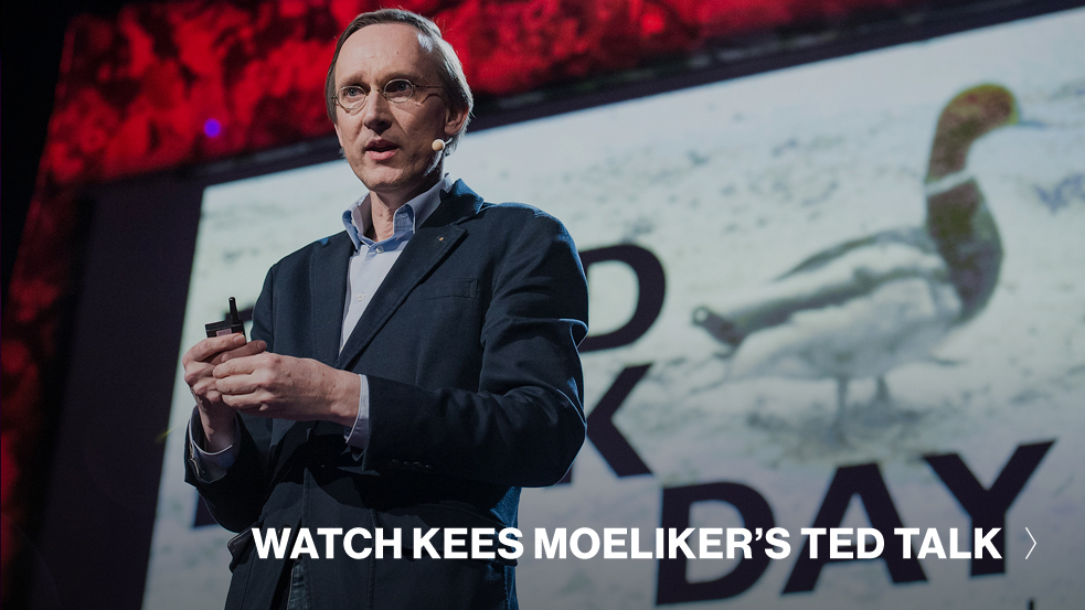 Kees-Moeliker-TED-Talk-CTA