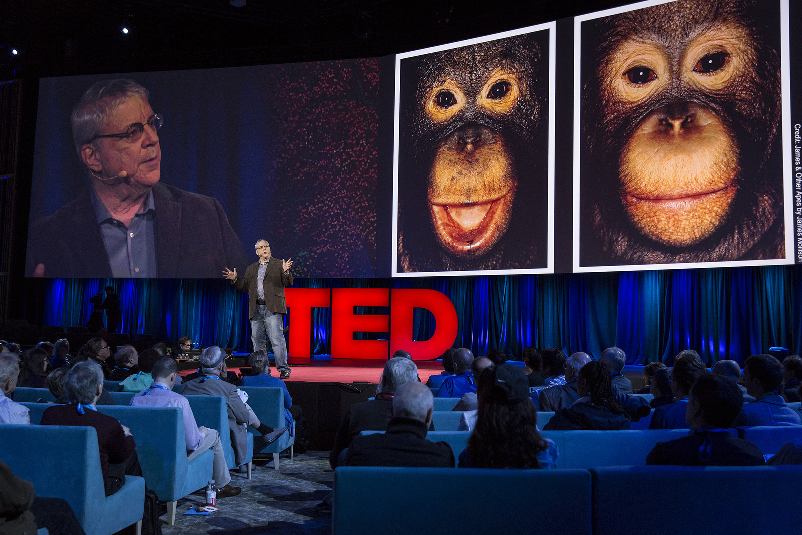 Steven Wise shares the legal argument why animals like chimps should receive rights at TED2015. A judge granted him a major victory this week. Photo: Bret Hartman/TED