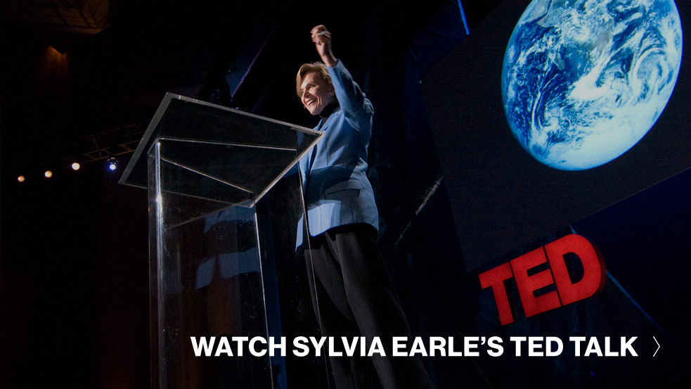 Sylvia-Earle-TED-Talk-CTA