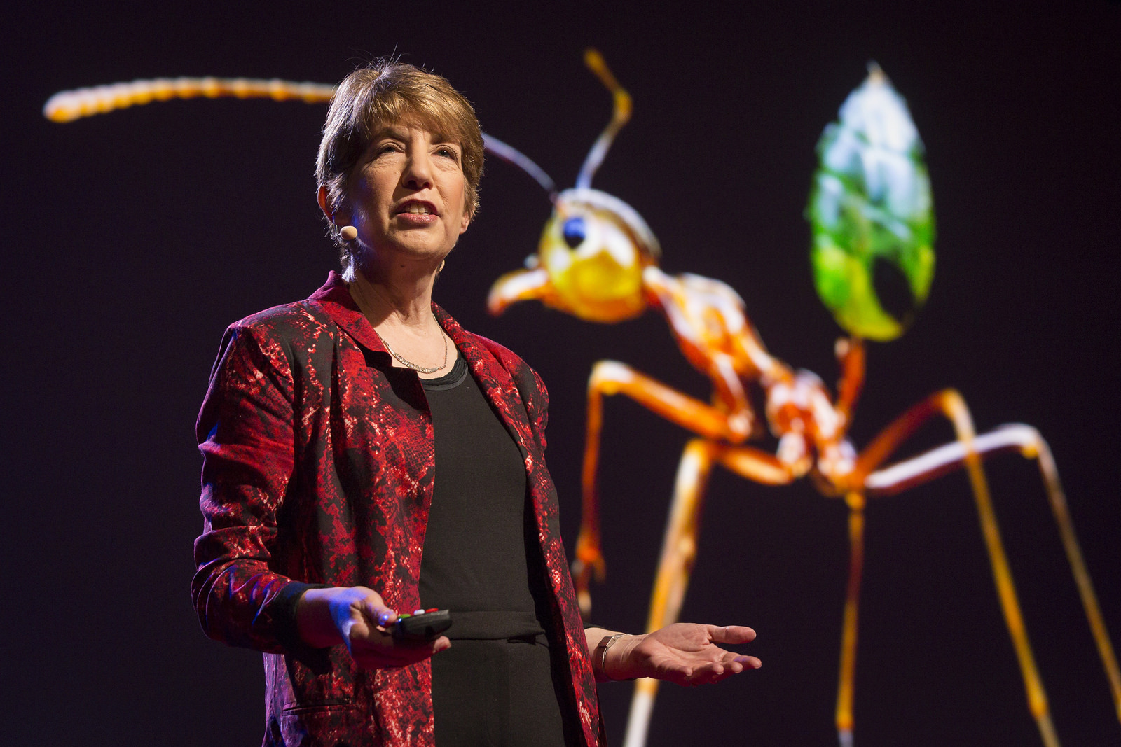 Marlene Zuk talked about insects and sex in Session 3 — and busted open the idea that our gender norms are "natural." Photo: Marla Aufmuth/TED