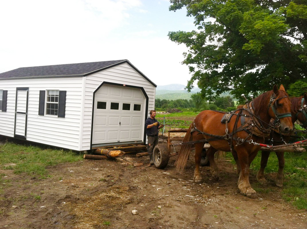 The draft horses at Reber Rock Farm move the new farm store building into position. Photo by Racey Bingham.