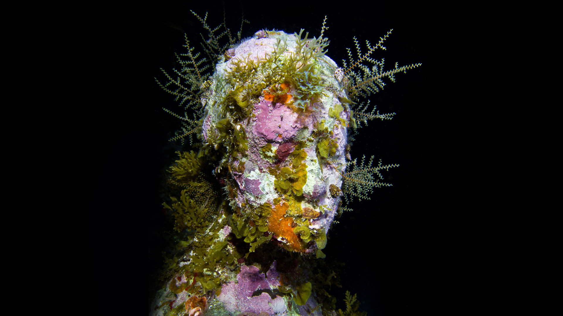 Underwater sculpture by Jason deCaires Taylor. Photo: Jason deCaires Taylor.