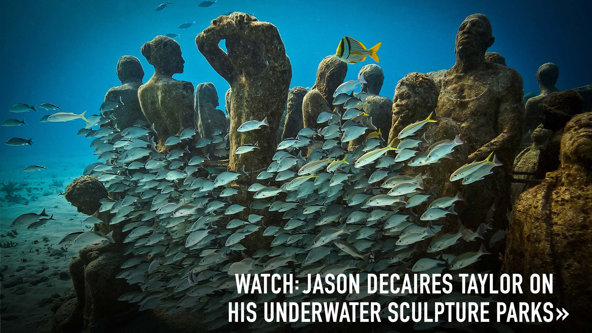 Pictures: Bodies Fill Underwater Sculpture Park