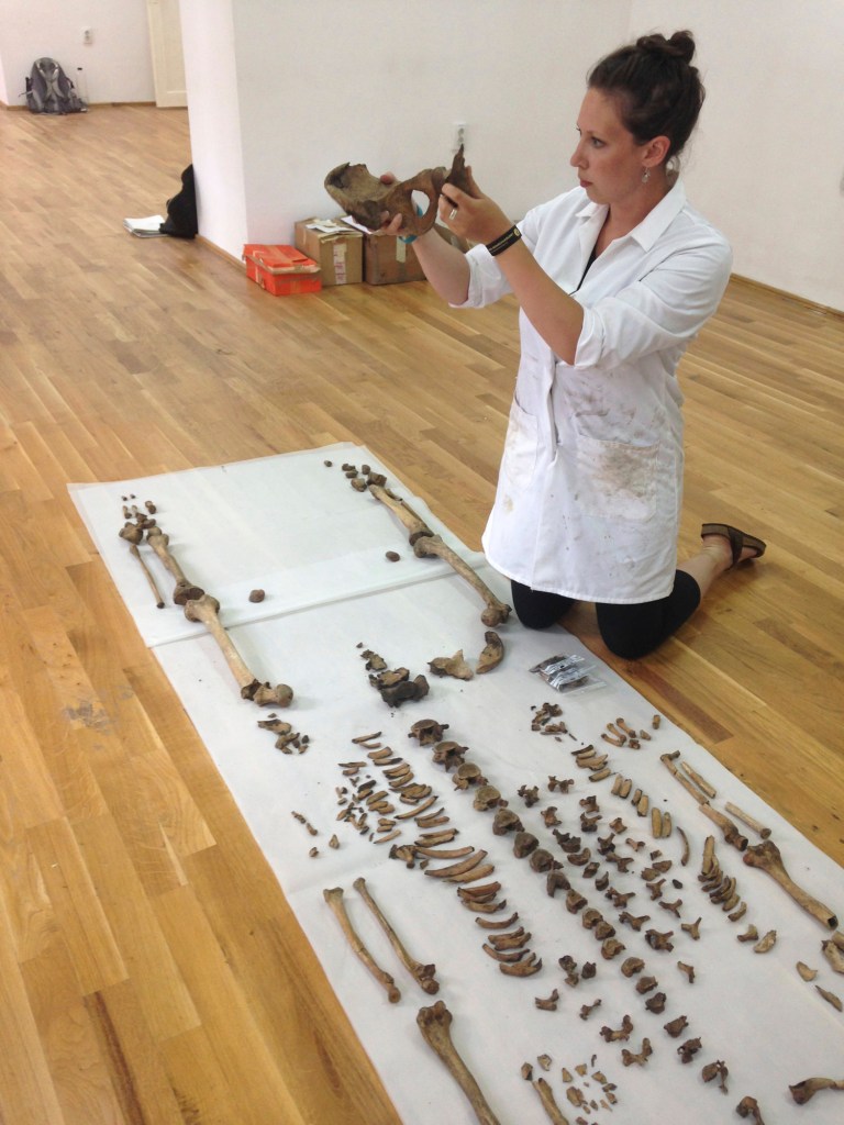 Hunt conducts a visual survey of the bone elements present in this particular individual excavated by a team of Transylvania Bioarchaeology students at Jucu, an ancient cemetery site dating between 8th and 12th centuries A.D. Photo: Khrystyne Tschinkel, Transylvania Bioarchaeology