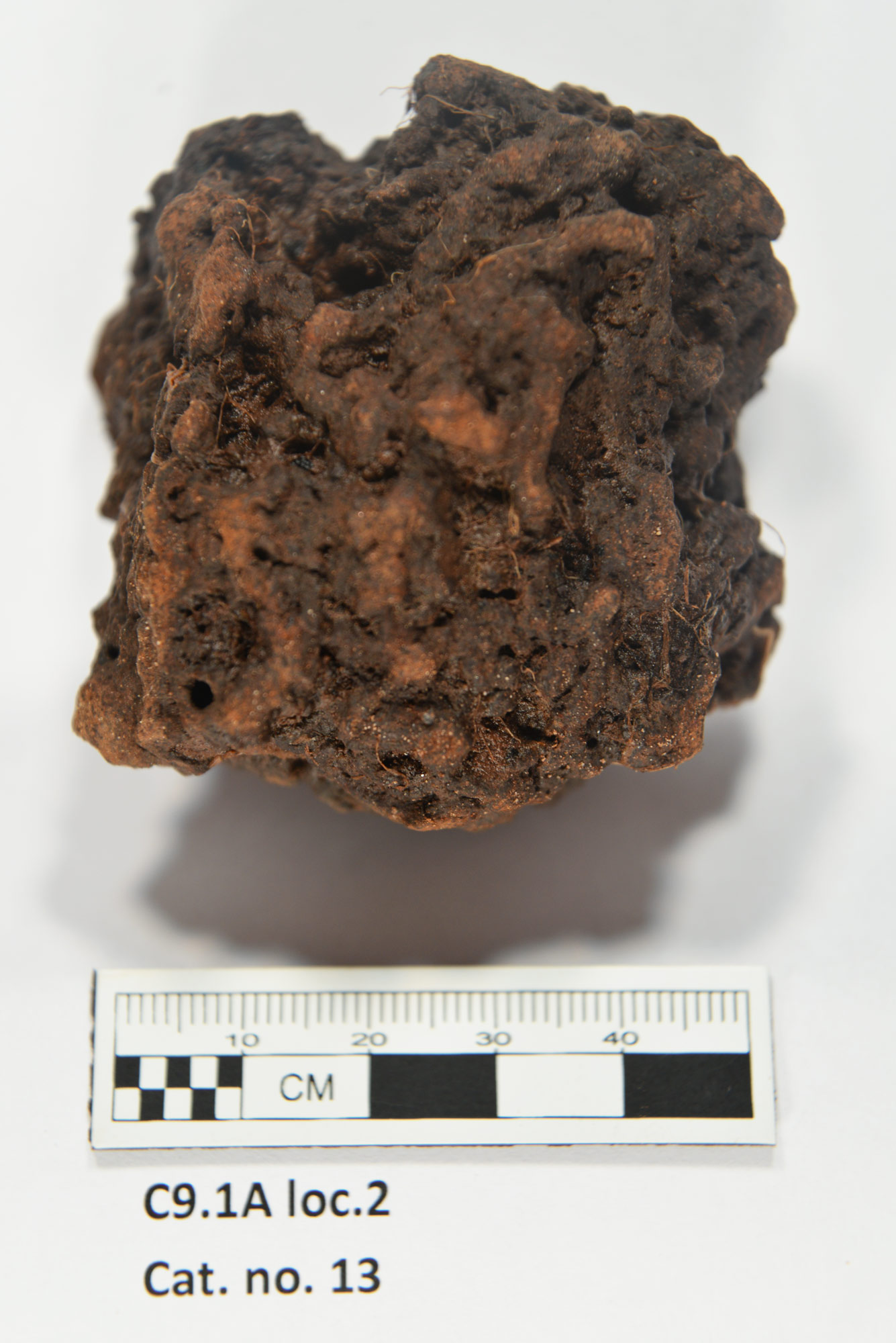 One of the larger lumps of probable roasted bog iron ore, selected samples of which were analyzed by Dr. Thomas Birch and Dr. John Still. Photo: Greg Mumford