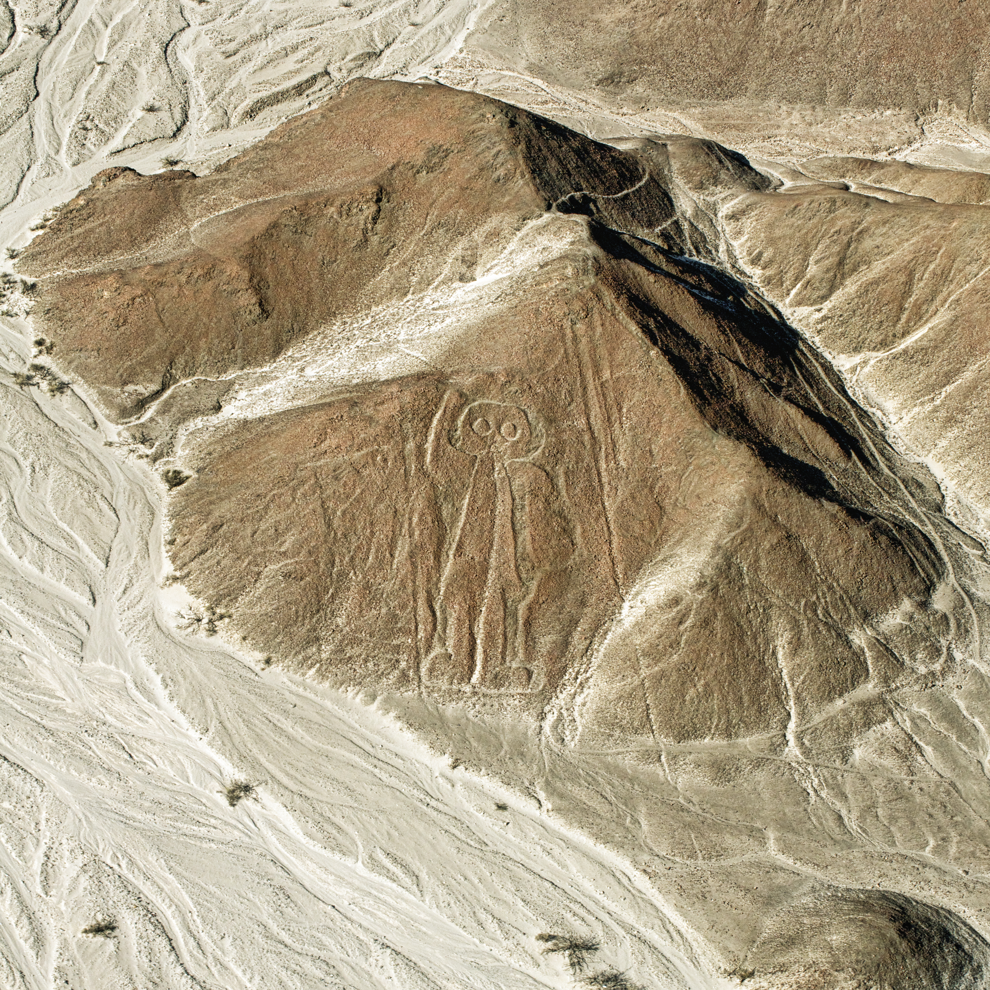 NazcaLines_Owl_7200606944_6e8c74e61a_o