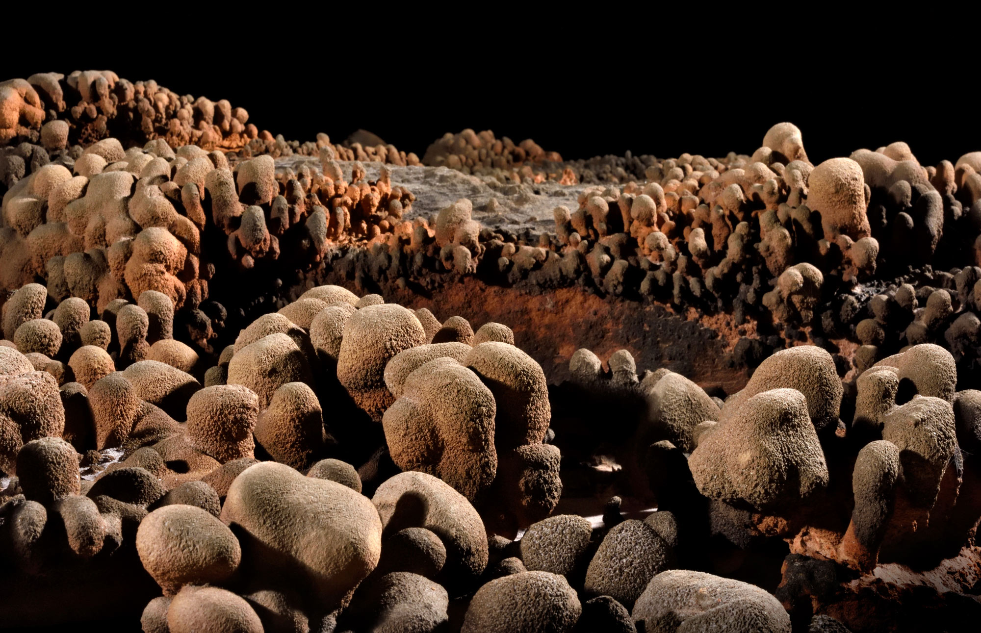Deep in an ancient cave … an unexpected form of life |