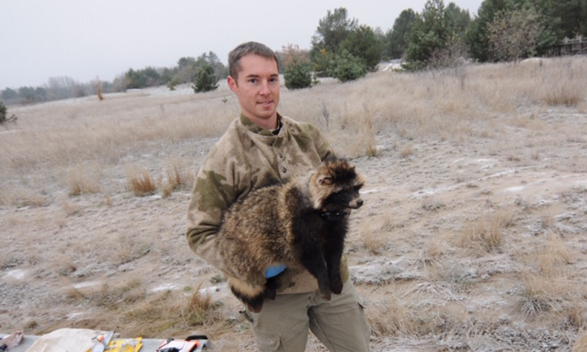 Chernobyl Raccoon Egg Raccoon Baits - North American Wildlife and Habitat