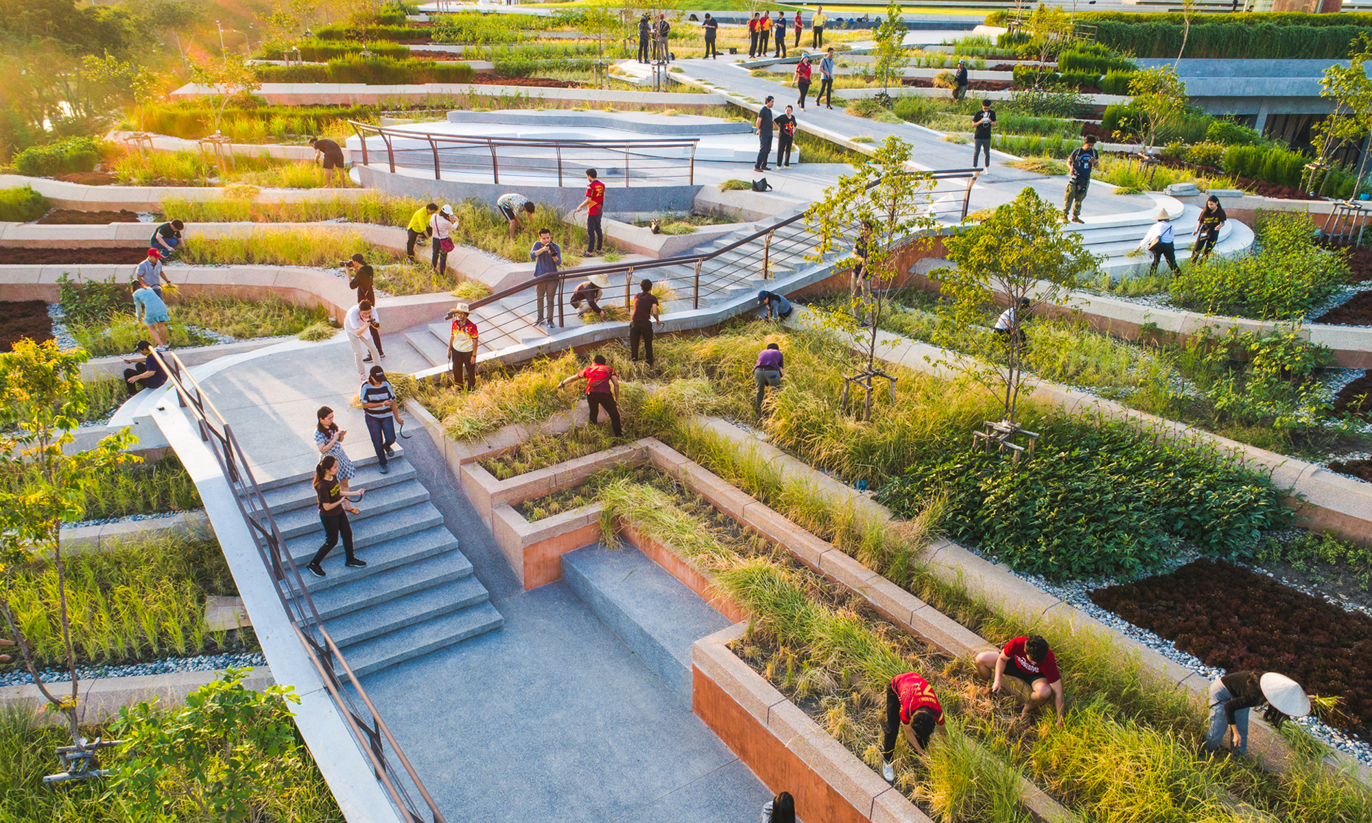 See Asia’s largest organic rooftop farm — located in busy Bangkok